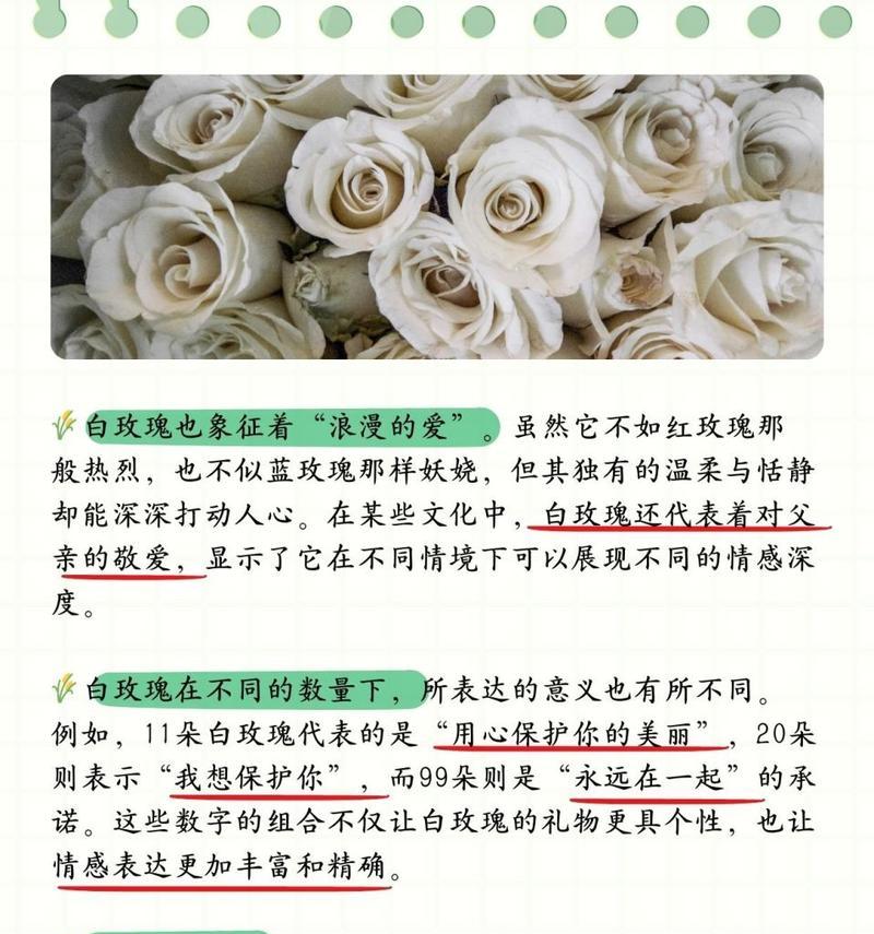 玫瑰花的数量代表什么含义？每朵花的花语是什么？