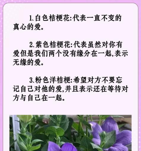 树的花语搞笑版是什么？树的花语有哪些幽默之处？