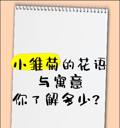雏菊的花语与弹琴有何关联？含义是什么？