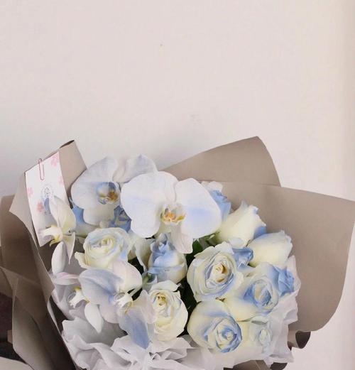 16朵冰蓝玫瑰的花语含义是什么？
