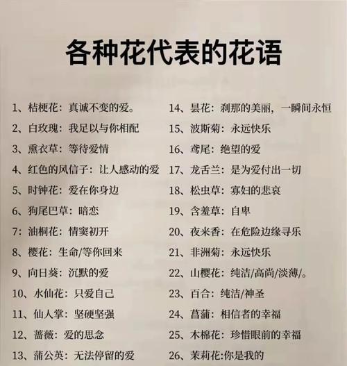 永远是你的花语代表了什么？这种花语传达了怎样的情感？
