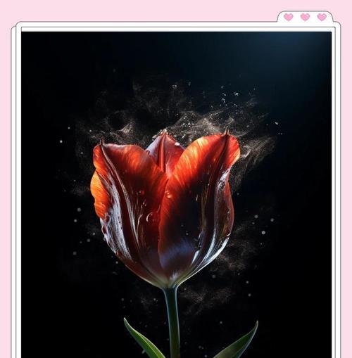 紫玫瑰郁金香的花语有哪些？紫玫瑰郁金香代表什么？