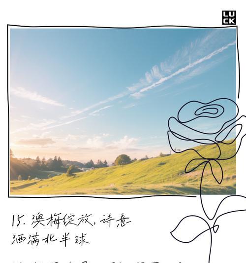 初见鲜花时的花语和寓意是什么？