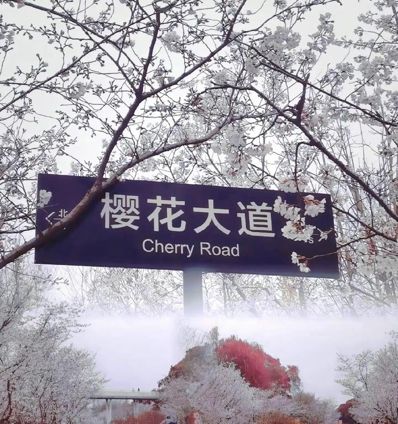 湖畔的花语通常代表什么？