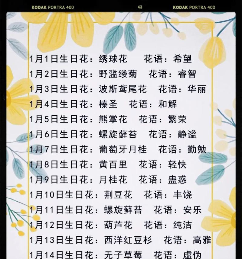 哪些花语与未来相关？未来导向的花语有哪些？