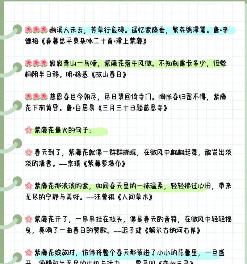 紫藤萝的花语有何深意？