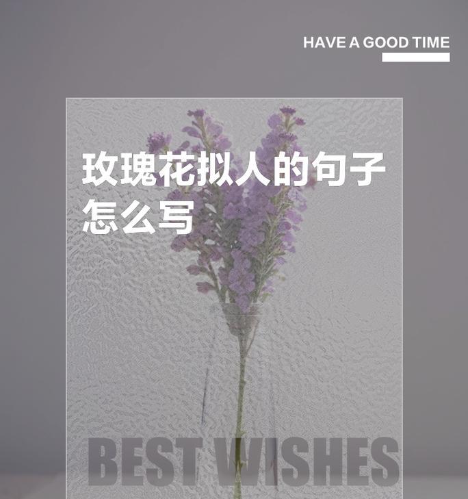 女生穿小裙子送玫瑰花有何寓意？