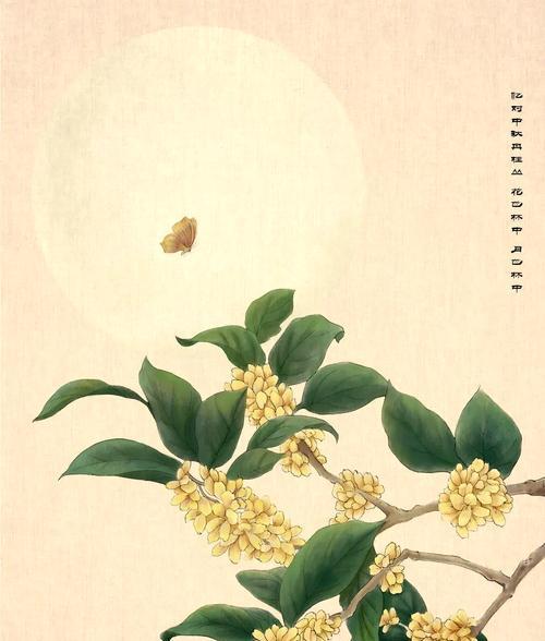 月桂卉象征着哪些美好寓意？