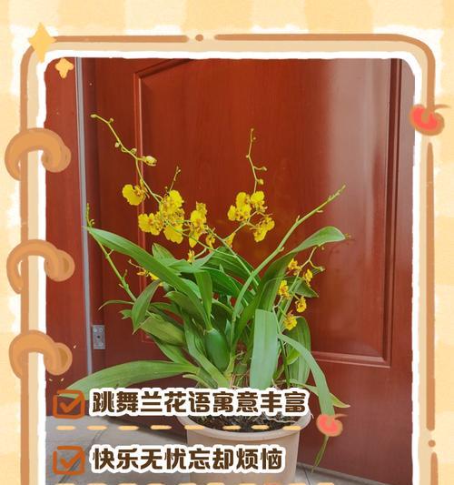 天香兰的花语是什么意思？它在花语中象征着什么？