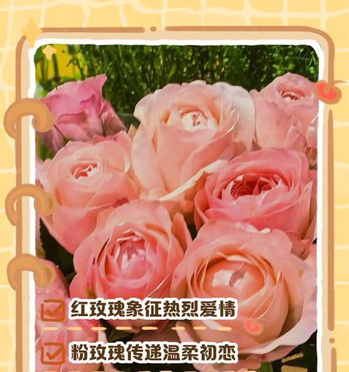 三朵玫瑰的花语寓意是什么？它们传递了哪些情感？