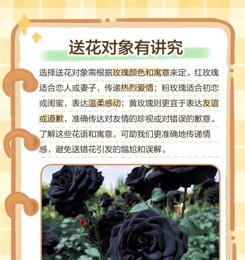 三朵玫瑰的花语寓意是什么？它们传递了哪些情感？