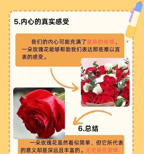 三朵玫瑰的花语寓意是什么？它们传递了哪些情感？