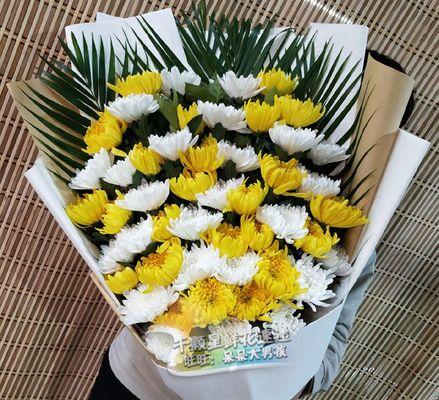 白菊花花语是什么意思？为什么白菊常用于哀悼场合？