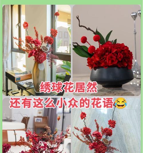 道具绣球花的花语有哪些？代表什么？