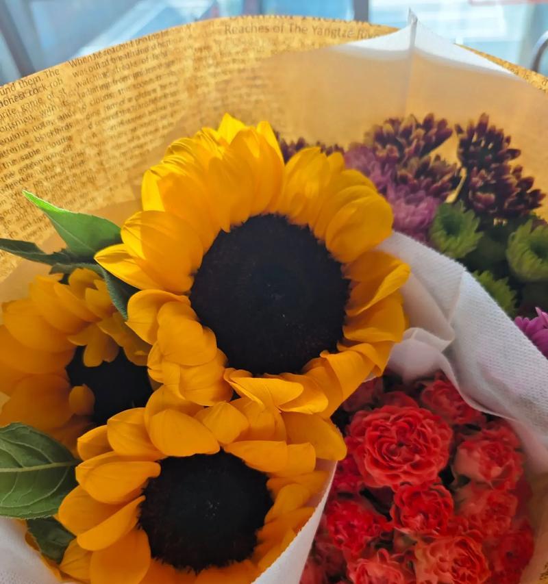 默契的伙伴花语有何深层含义？