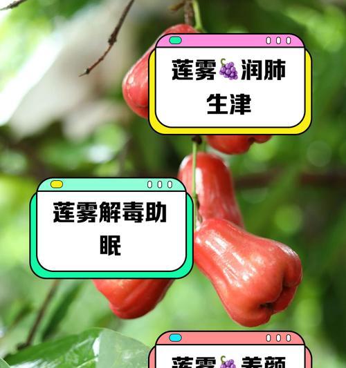 空山薄雾象征着什么？花语有何深意？