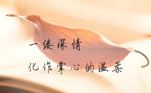 折木花的花语是什么意思？这种花语如何表达我们的愿望？