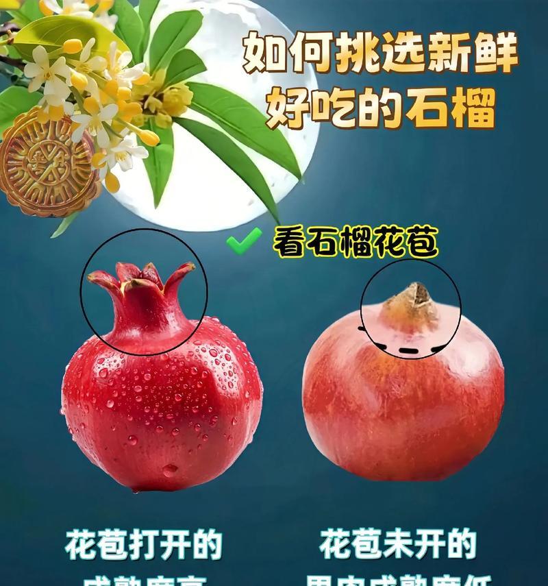 石榴干花的寓意与花语有何不同？