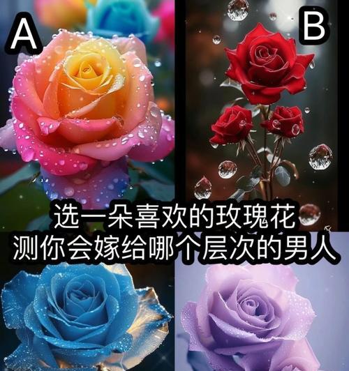 屋内摆放玫瑰花有何寓意？如何选择颜色？