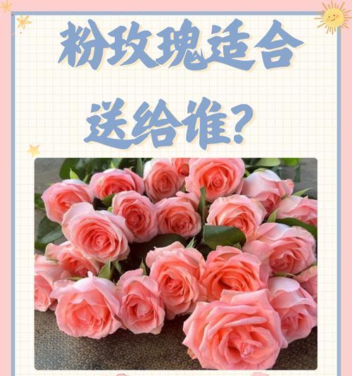 新账号开播应该送什么花？花语代表什么？