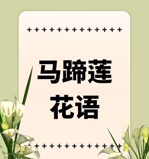 青莲与荷花的花语有何区别？