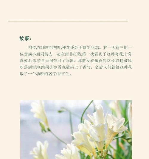 花语名园含义是什么？如何理解花语名园的深层含义？