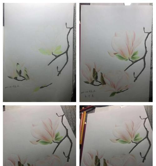 木兰花帽子的花语是什么？它有何寓意？