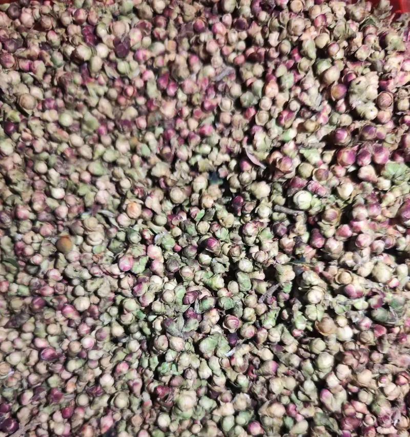 木茶花的花语是什么？它有何特别的含义？