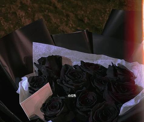 玫瑰花伞的花语有何特别含义？