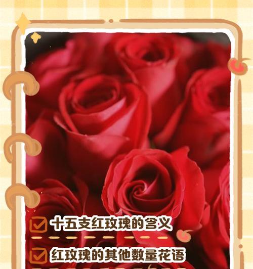 两根红玫瑰花语是什么？它代表了什么？