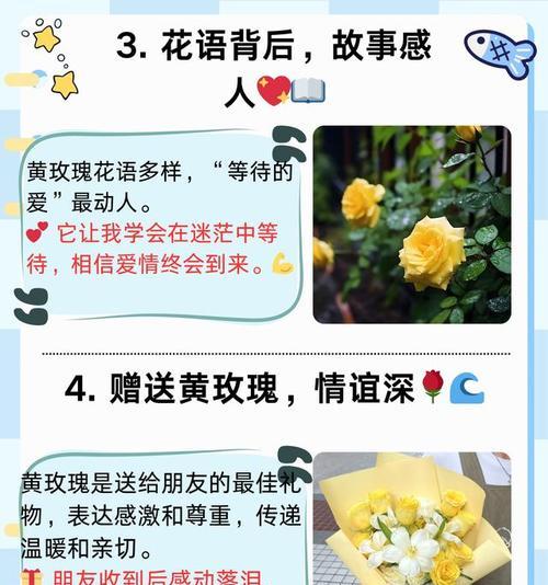 黄玫瑰为何被视为珍贵且有何花语？
