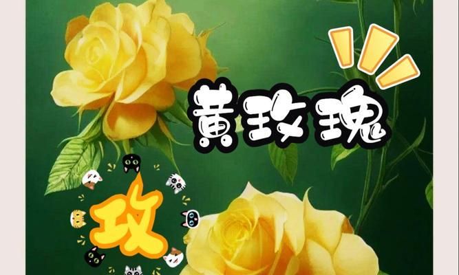 黄玫瑰为何被视为珍贵且有何花语？