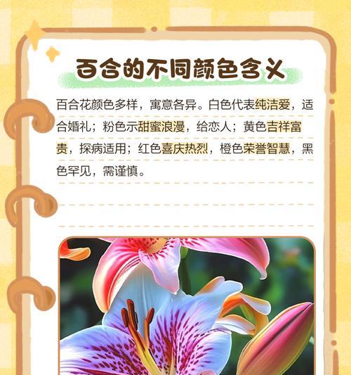 六季的寓意和花语分别是什么？