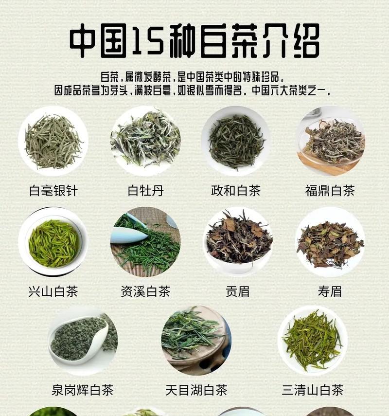 白茶花花语用什么词语形容？它的花语有何深意？