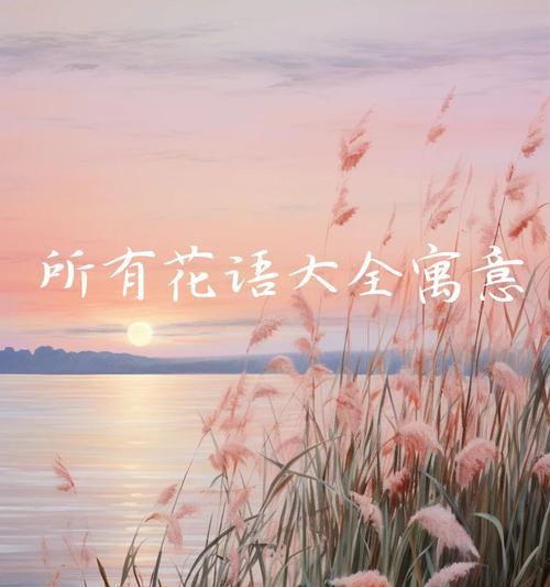 希望治愈的花语是什么？如何通过花语传递正能量？