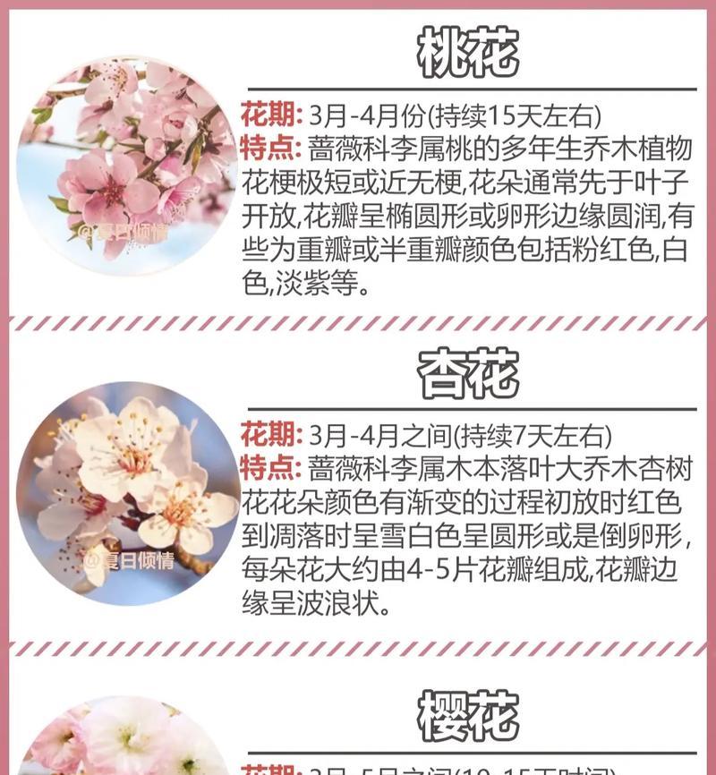 还有什么样的花语呢？如何解读不同花朵的寓意？