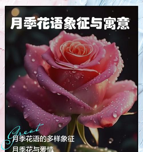 还有什么样的花语呢？如何解读不同花朵的寓意？