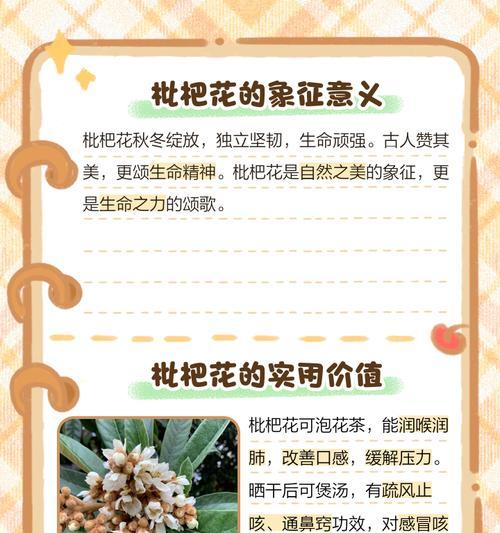 树上花的花语有何含义？