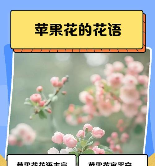 树上花的花语有何含义？