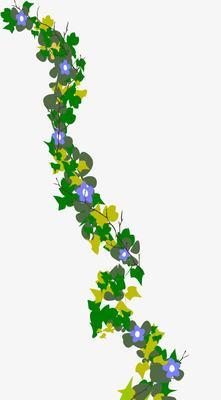 花藤的花语代表什么？花藤花语的含义是什么？