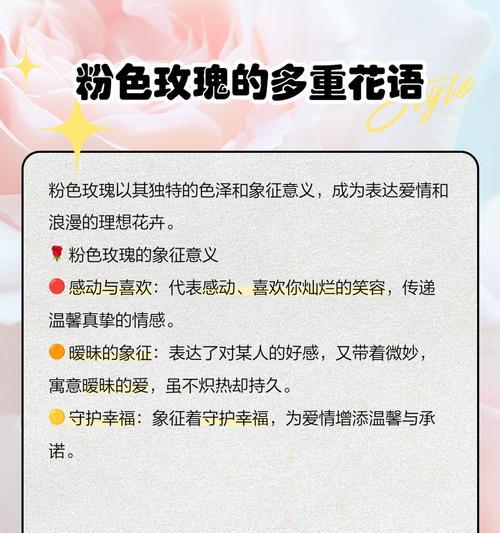 粉玫瑰的花语禁忌有哪些？