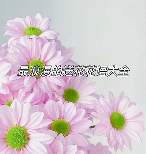 浪漫花语有哪些说法？