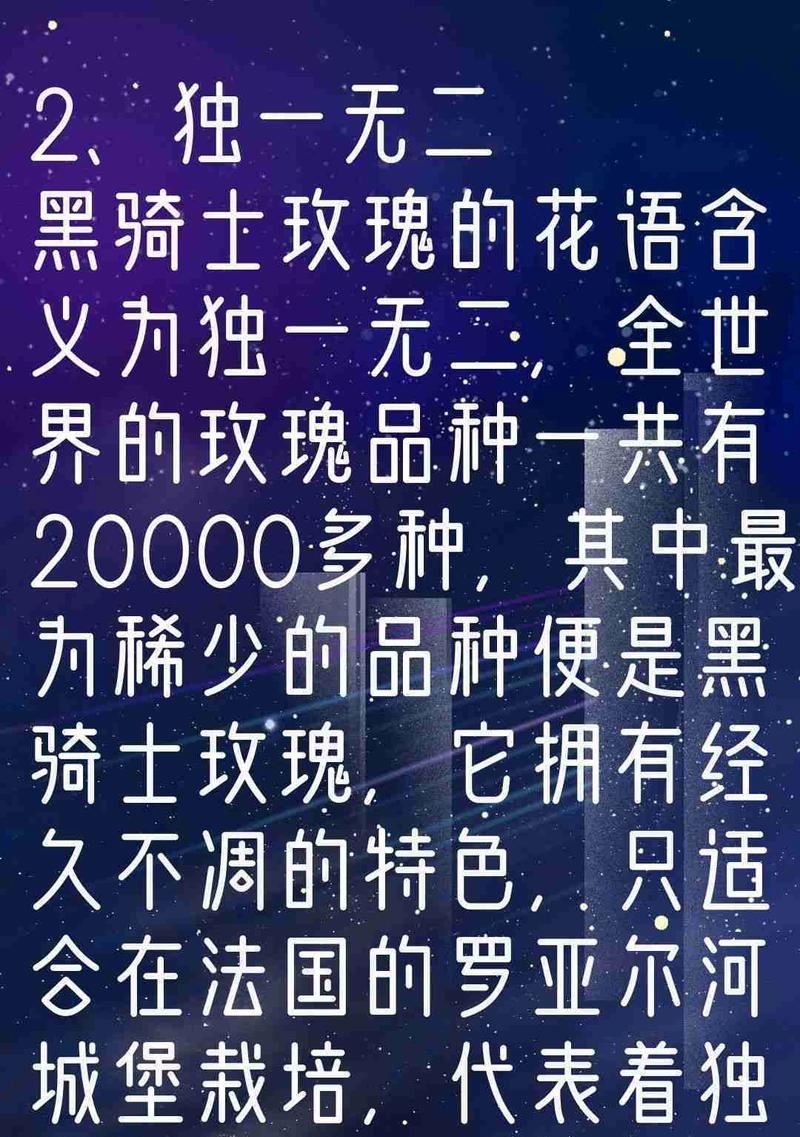 一朵暗玫瑰的花语含义是什么？