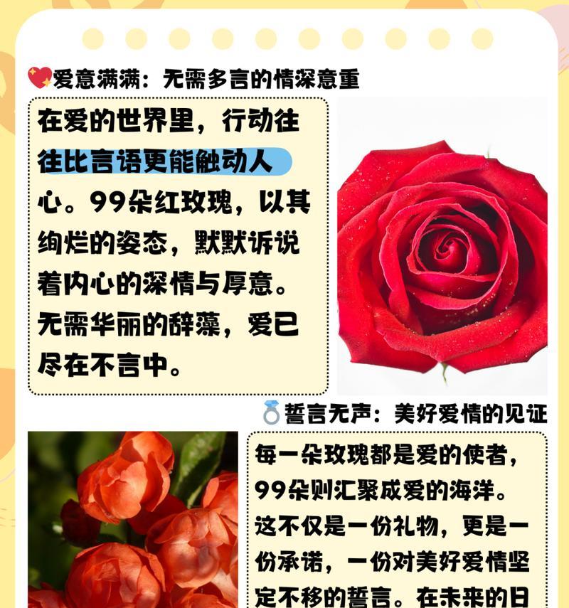 一朵暗玫瑰的花语含义是什么？