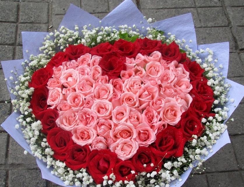 红色玫瑰花蜡烛的花语是什么？有何特别含义？