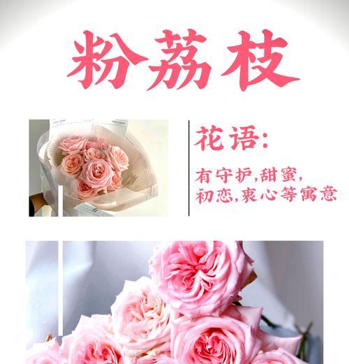 粉色玫瑰与香槟色玫瑰的花语有何不同？