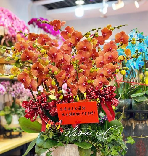 摇晃的蝴蝶花语是什么意思？蝴蝶花语有何寓意？