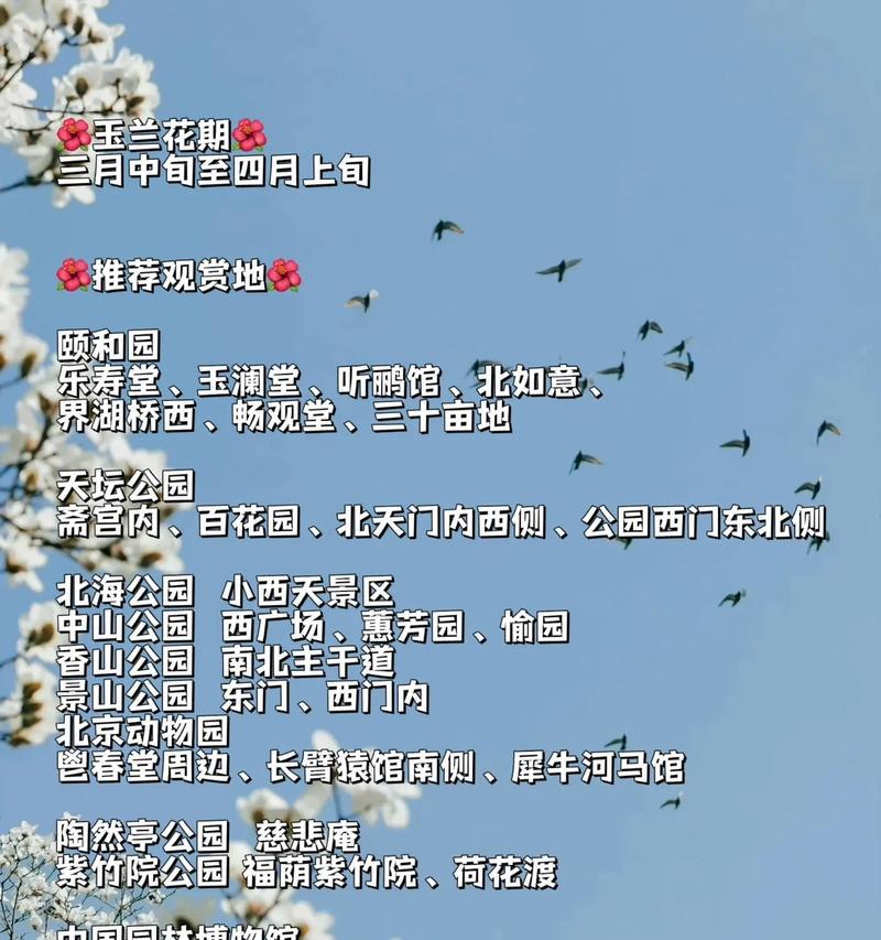 白玉兰的花语你知道吗？