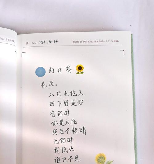 向日葵10支代表什么？精品向日葵花语有何深意？