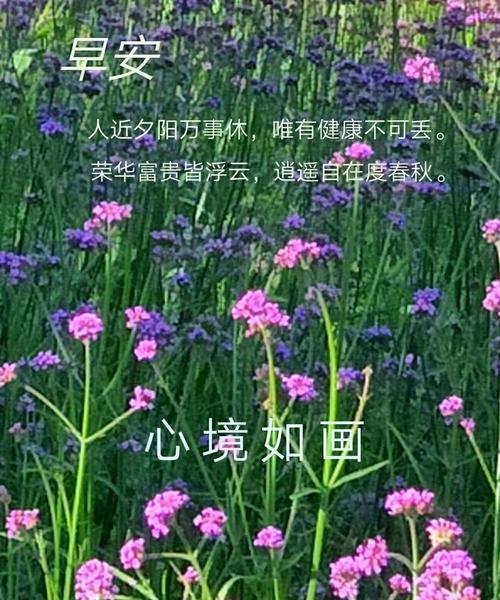 浮云花语深层含义是什么？它代表了哪些情感？